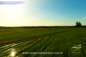 Barrancas - Jaguarão - RS.00_03_14_18.Quadro024_76f38767e94b2edca172bae110a3df1a165b6ce8.png